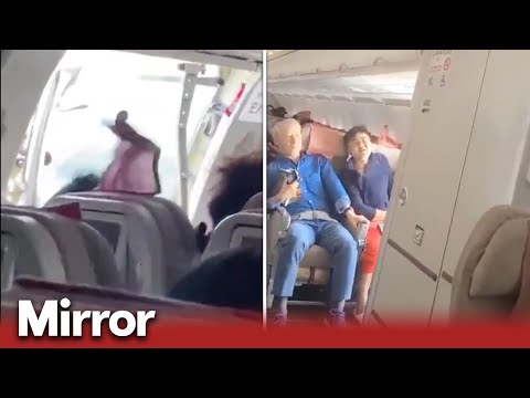 Plane door opens during flight