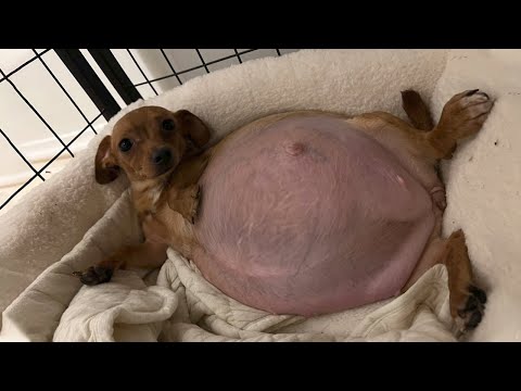 Saved from an Alcoholic, She Brought Up Happiness in a Family Full of Love!