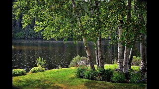 Music, Rain, Thunder & Fireplace 🔥 Sleep Aid LIVE | Relaxing Music for Deep Sleep & Stress Relief