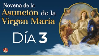 Novena por la Asunción de la Virgen María 🕯 Día 3  #novena