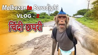 Malbazar to Baradighi Dooars Funny Monkey Vlog | JALPAIGURI | WEST BENGAL | @ChindiChapri