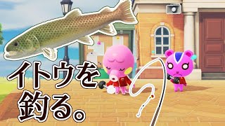 [LIVE] 【あつまれどうぶつの森】イトウちゃん釣るお～！！【ゾンビっ娘Vtuber】