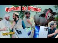 Qurbani Ao IPhone Funny Video By PK Vines 2022 pk plus vines