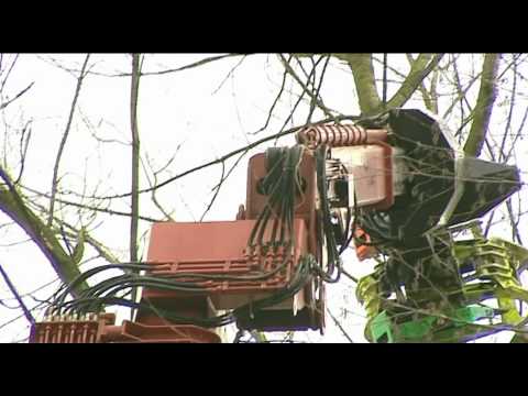 December 2010 – Oosterhout - Video 1