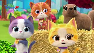 חתלתולי העל | Super Kitties