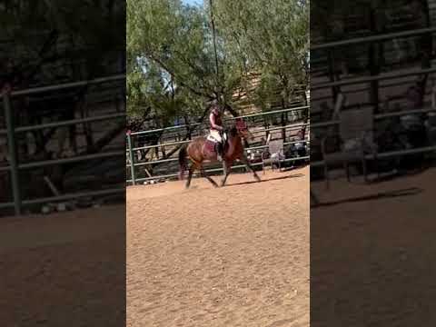 she’s so sweet #equestrianriding #horse #horseriding #riding