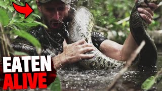These 3 People Were EATEN ALIVE By Deadly Snakes!