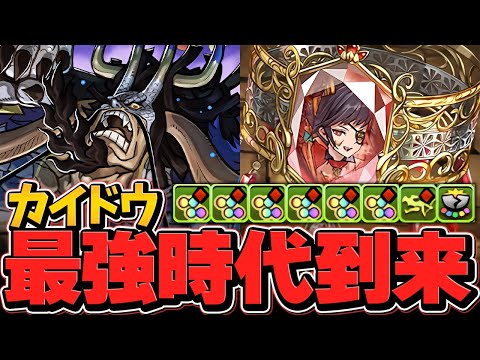 カイドウ最強時代！火力5倍UPで160億ダメ安定！雷神武器×カイドウで環境崩壊！万寿破壊してみた 【パズドラ】