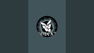 Bobcat is live!