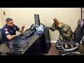 Dog's Humorous Activities and Tasks