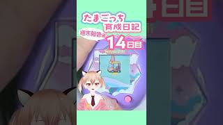 【#たまごっち】更地になったフィールドにゆうぐを再設置！ #tamagotchi #Vtuber #shorts