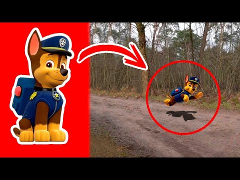 PAW PATROL Captados en CÁMARA Y Vistos En La VIDA REAL