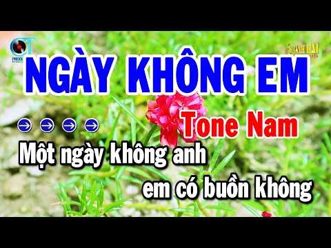 Karaoke Ngày Không Em Tone Nam Nhạc Sống Hay Nhất | Thanh Hải