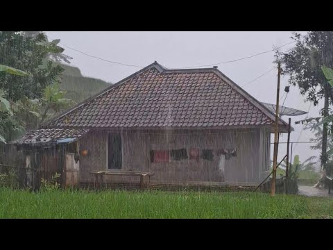 BIKIN BETAH, SUASANA HUJAN DERAS GEMURUH GUNTUR DI PEDESAAN JAWA BARAT | Walking in the rain