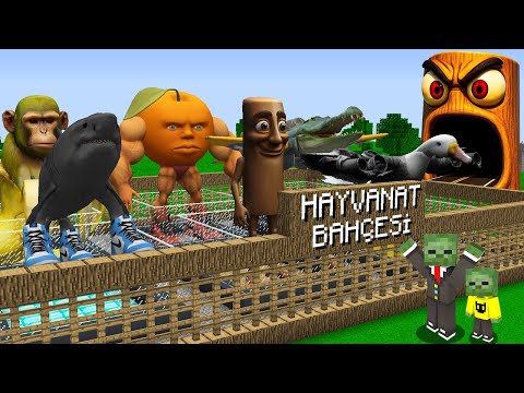 YANLIŞ İTALYAN BRAİNROT HAYVANAT BAHÇESİNE GİRERSEN ÖLÜRSÜN - Minecraft