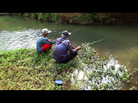 Mancing di waktu sungai baru selesai banjir,umpan lumut kasar