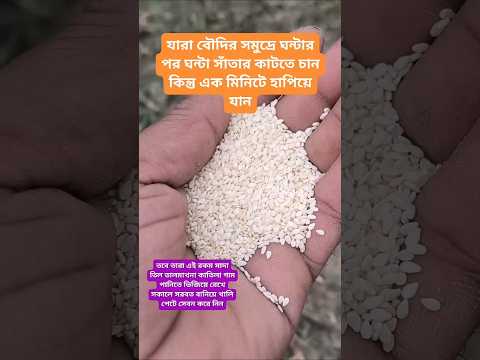 #plantsofindia #plants #shortvideo#gardenplants #garden การตอนมะละกอ โดยไม่ใช้ดิน ไม่ใช้ แกลบ.