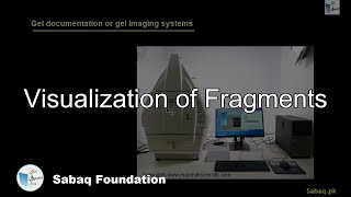 Visualization of Fragments