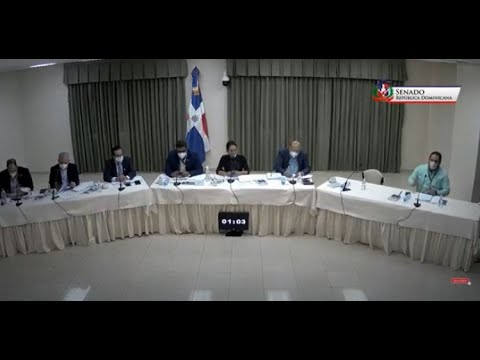 EN VIVO Entrevistas titulares y suplentes JCE 2020-2024