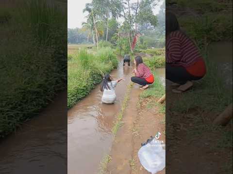 Kebelet banget #vidiolucuterbaru