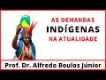 Situação e Direitos dos Povos Indígenas