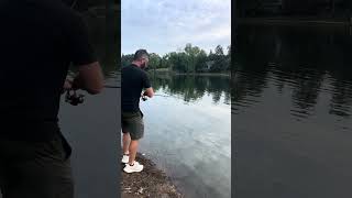 Not your average fish, you would catch a Cameron Park Lake! A solid bass! # #gonefishing #fishing
