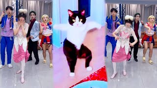 【鬥羅大陸】 鬥羅家族和神秘貓貓鬥舞啦，沒想到貓貓這麼靈活！好厲害 #鬥羅大陸 #唐三 #小舞 #唐舞桐 #唐舞麟 #小丑