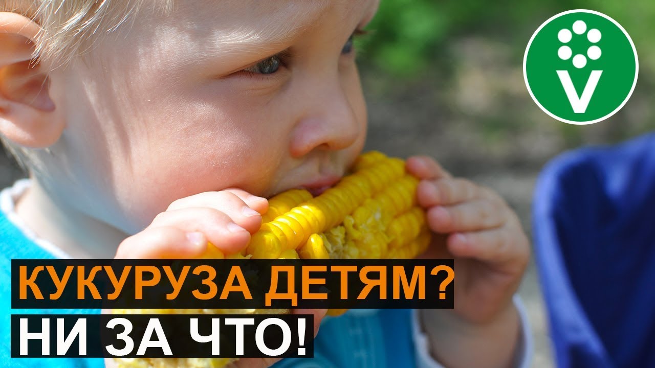 Чем кукуруза опасна для здоровья?