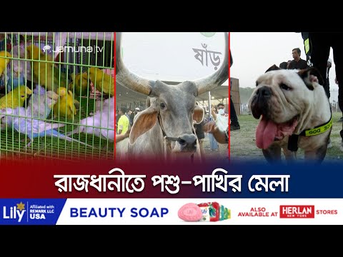প্রাণিসম্পদ মেলায় দেখা মিললো ৩ হাজারেরও বেশি পশু-পাখির | Animal Fair | Jamuna TV