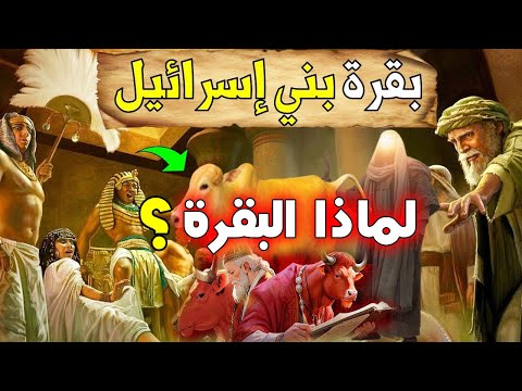 هل الله سيسمي سورة بالبقرة!! لماذا البقرة!! أسرار ستصدمك حقاً ! 90 % من المسلمين لا يعلمون