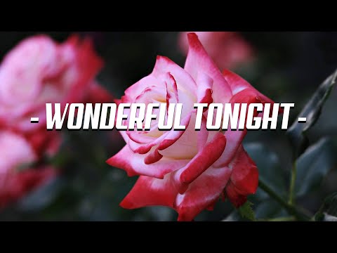 Wonderful Tonight - lyric