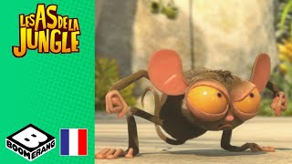Le trésor du vieux Jim (Spécial Partie I) | Les As de la Jungle| @boomerangFR