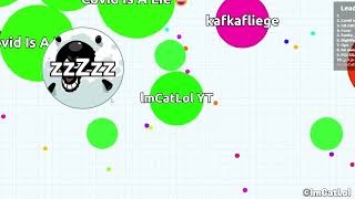 Insane Agar.io gameplay 2024