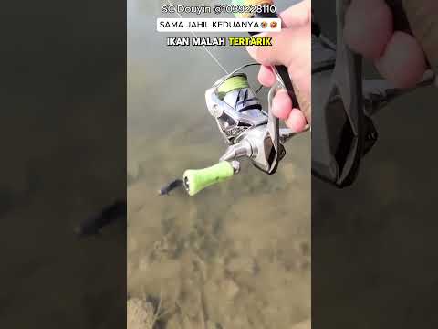 Pria dan ikan jahil kocak #shorts #viral #ngakakkocak #lucu #mancinglucu #mancingkocak #mancingikan