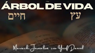 ÁRBOL DE VIDA עץ חיים COVER Mariachi Jerusalem ft Yosef Daniel
