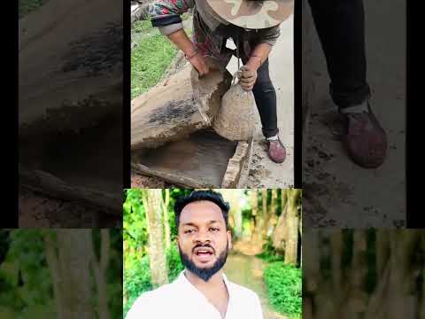 #shorts #short #shortsfeed #shortvideo #viralshorts #viralvideo #trending #trendingshorts #fyp