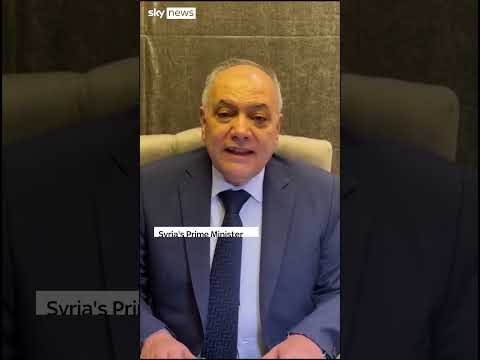 Syrian PM offers peaceful transition of power