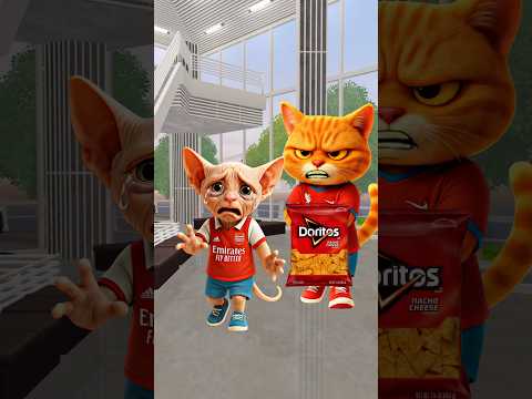 my brother doesn't want to share Doritos snak #cat #catvideos #catlovers #trendingshorts