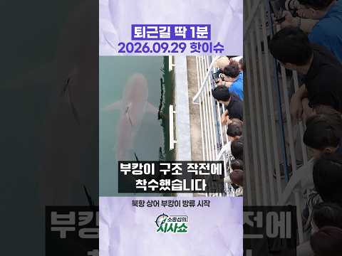 20260929 오늘의 <strong>핫이슈</strong> 모음 #shorts #부산상어 #부캉이 #dmz #지뢰폭발 #북한연루 #이재명 #데일리이슈 #저녁루틴 #퇴근길쇼츠