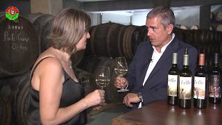 Vinhos Borges na Região do Douro
