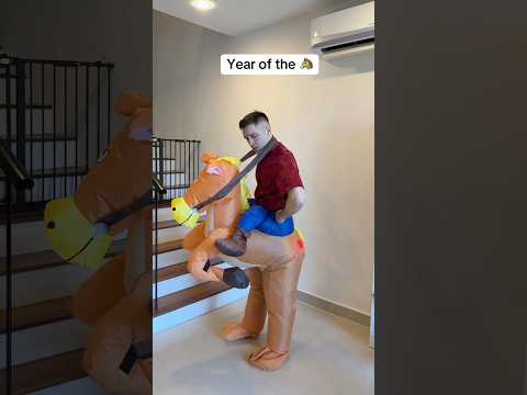 Year Of The Horse 🐴🧧