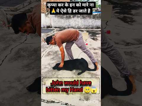 Please don't punishment 🙏🥺 undar training❤️🐕🦺#belgium #belgianmalinois#shortfeed #k9dog #dogtrainer