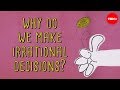 Understanding Heuristics and Cognitive Biases