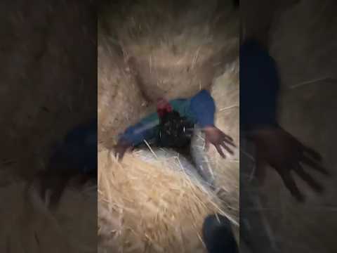 3 P3nd3jos del Multiverso Parte 2