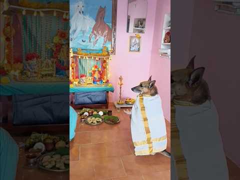 dog cutely praying to lord Ganesh with his dad 😍😍😍 #shorts #views #dog#bird #animals lovers❤🥰👍