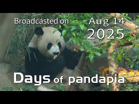 20250814 Broadcast Top Highlights 08