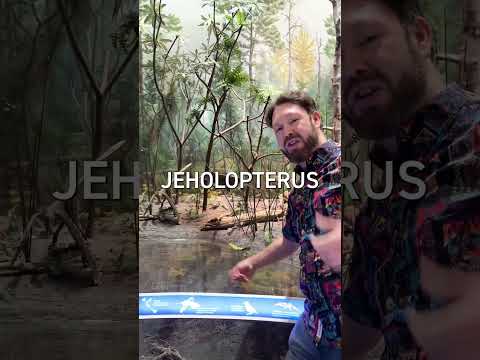 DINO HALLOWEEN COSTUMES 👻🦖