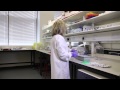 PCR Techniques and Concepts