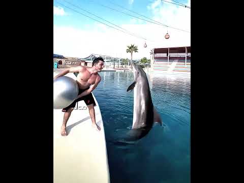 Ronaldo X Dolphin 🐬