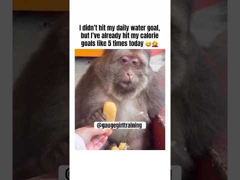 Fully ignoring calorie intake 😭😭